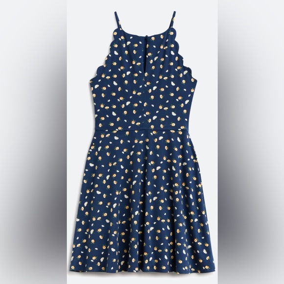 🌺 NWT FORTUNE + IVY Taliyah Scallop Detail Knit Navy Dress 🌺 - Picture 2 of 5